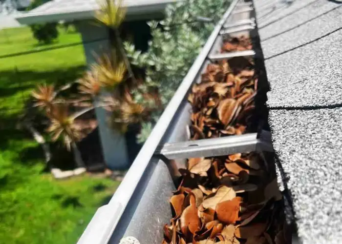 Maplewood gutter cleaning home page